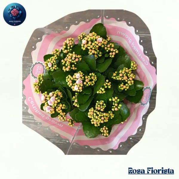 Elegant Rose Bouquet – Demo Product 8