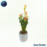 Shut Up bold luxury flower bouquet expressing love passion and emotion perfect romantic gift in Milano